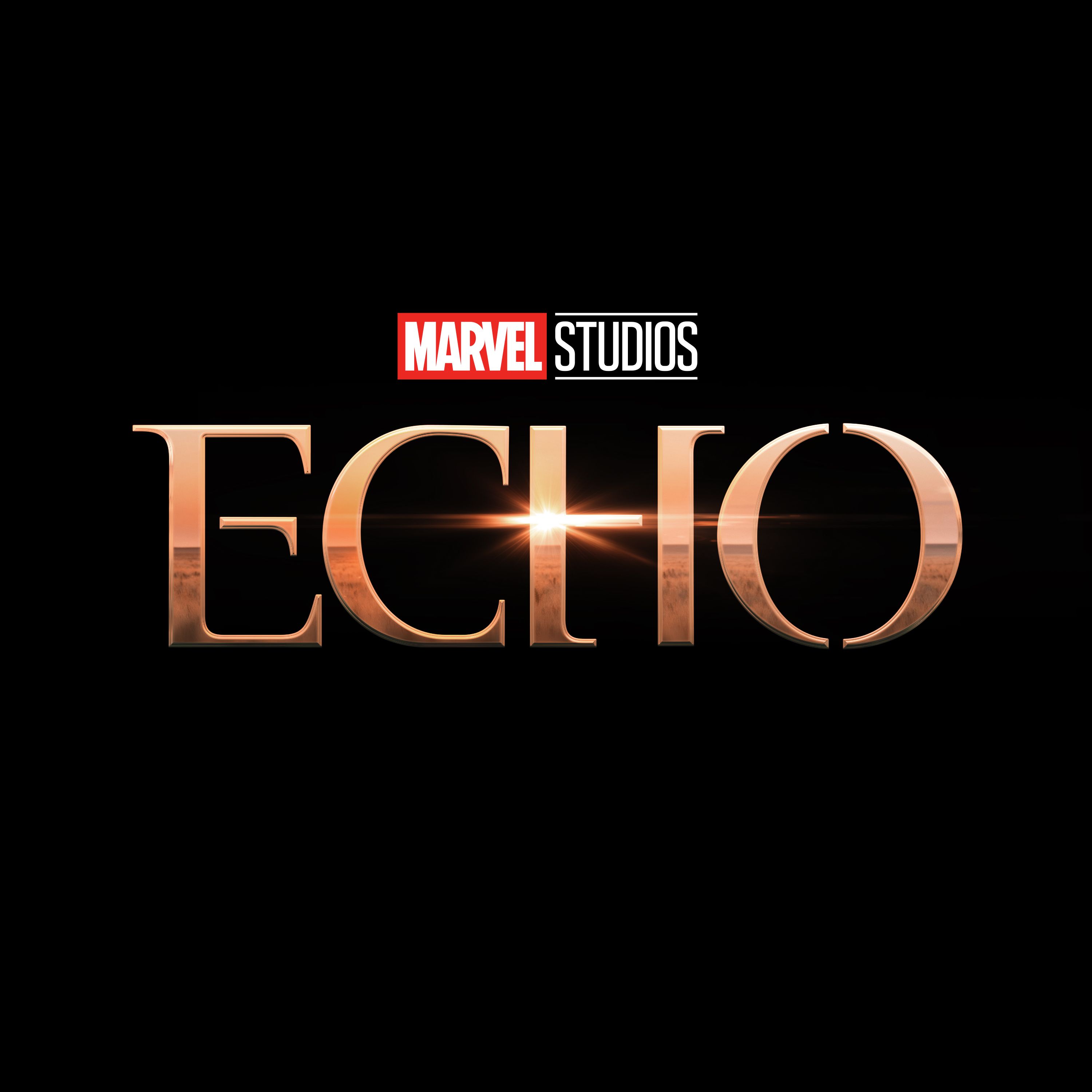 echo logo