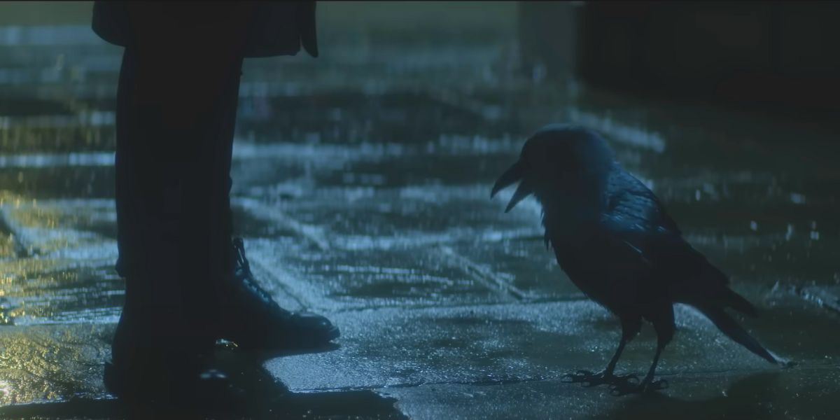 raven sandman
