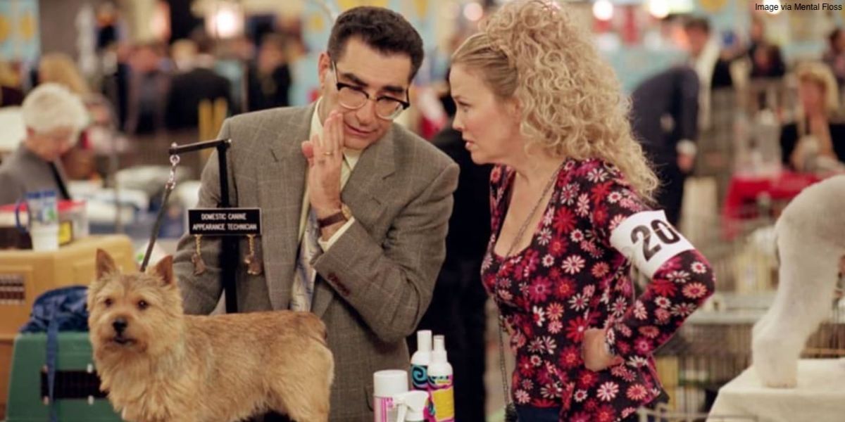 Best in Show