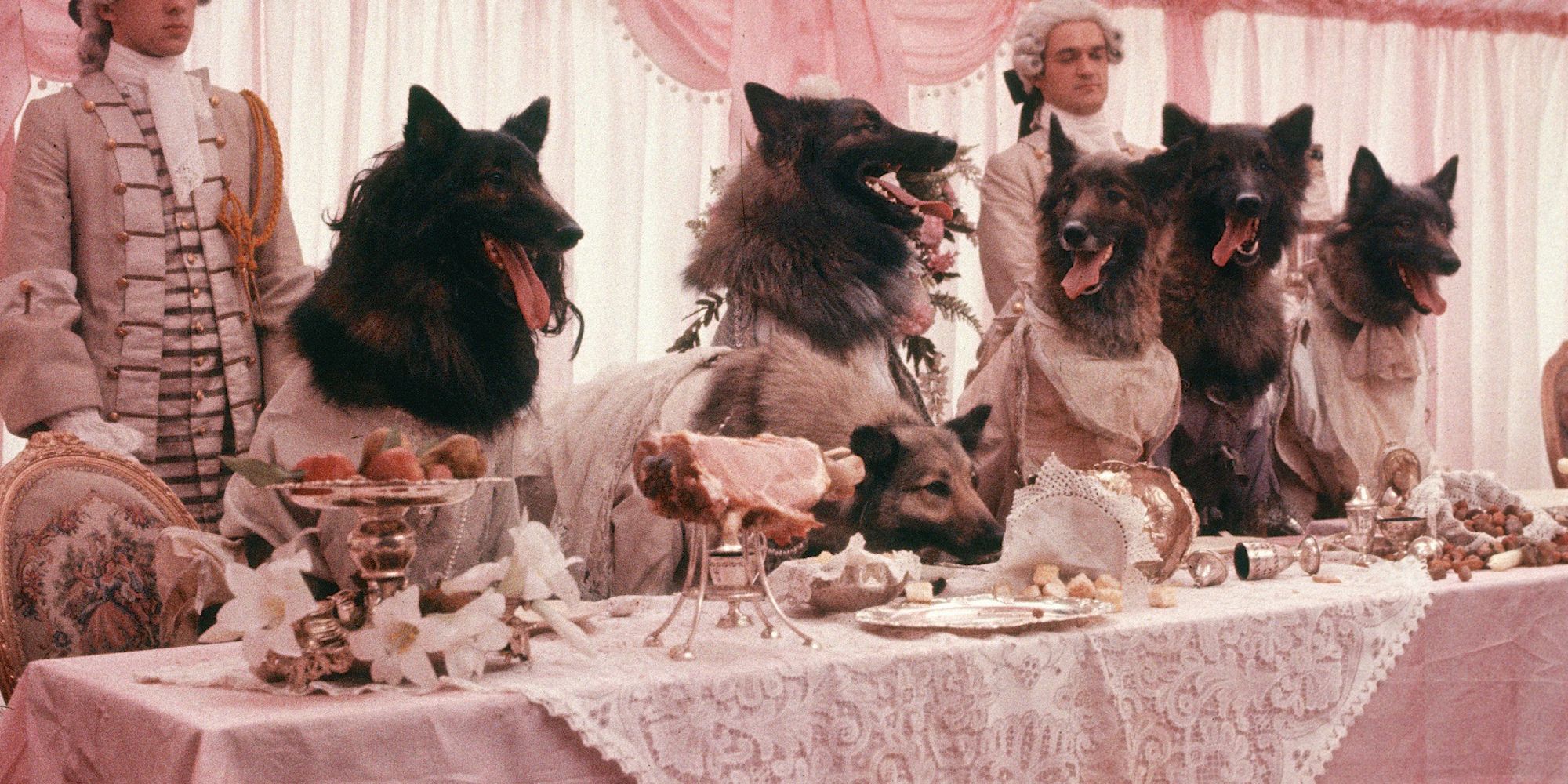 company of wolves0