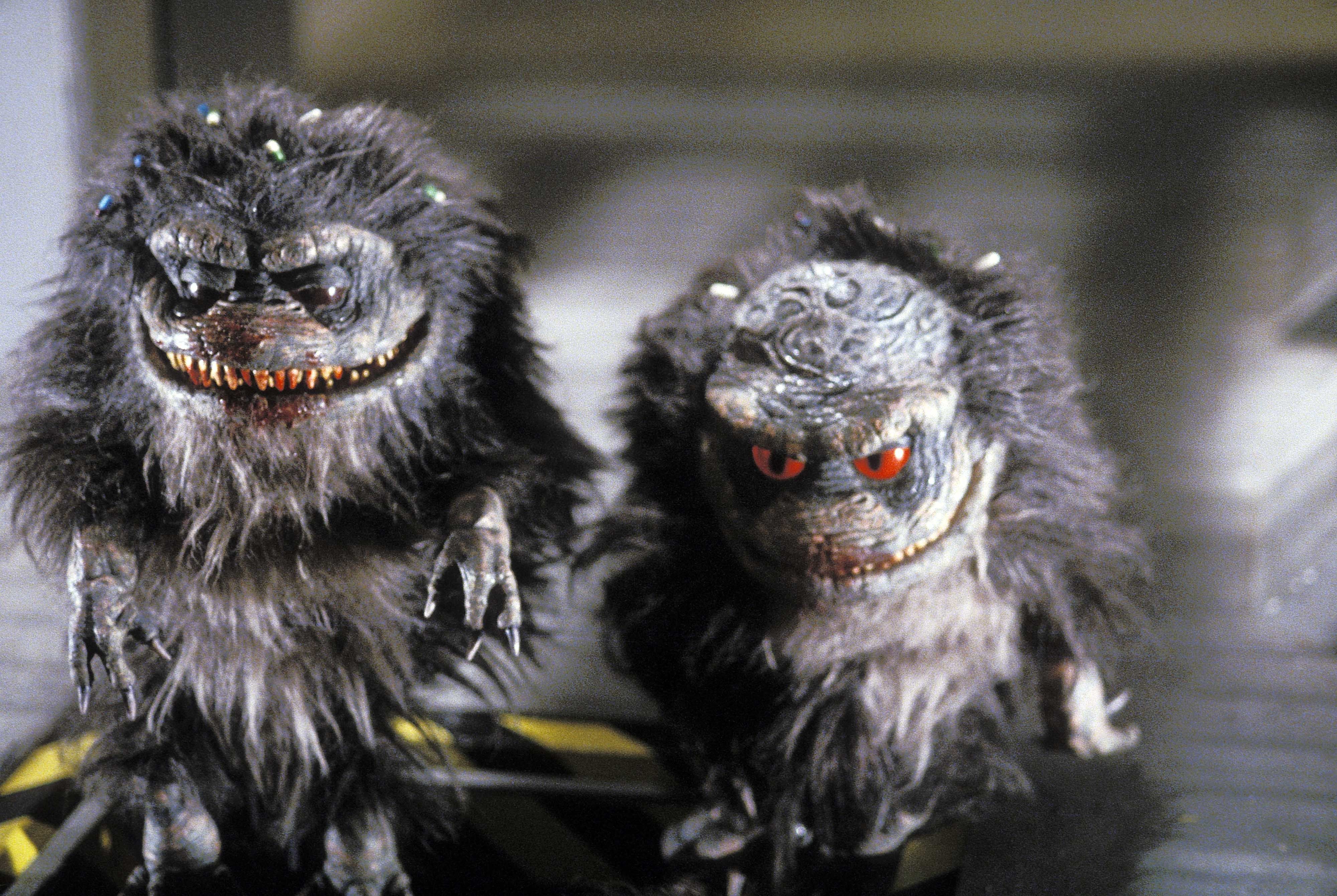 critters-4_INWFkZ
