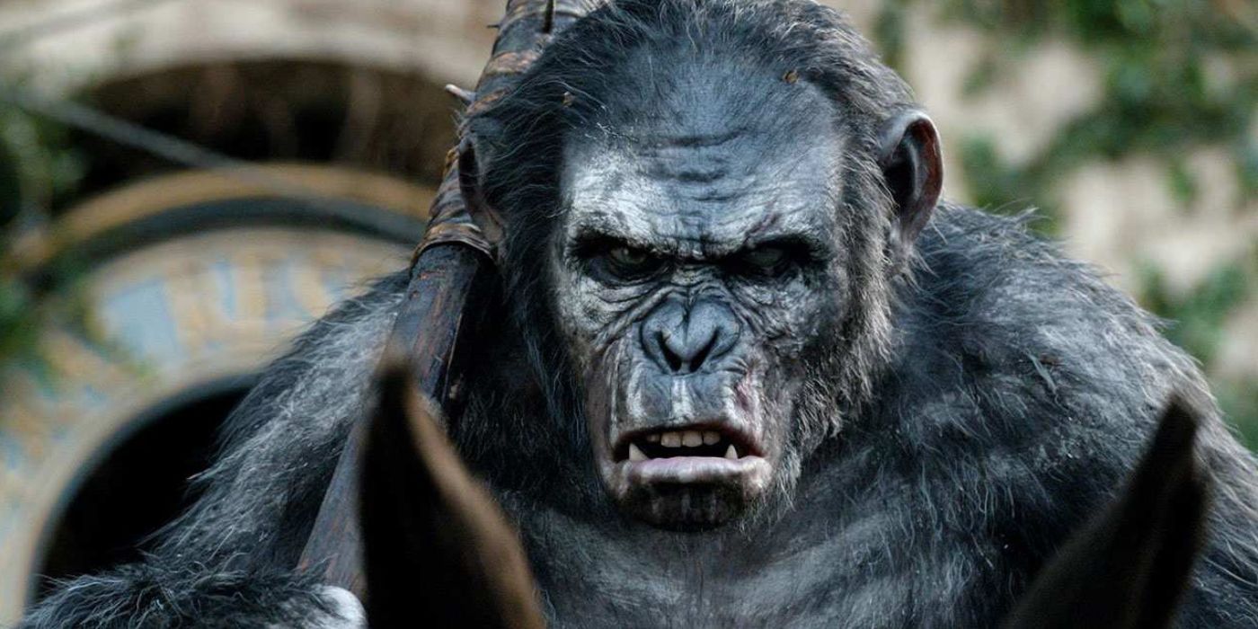 An enraged Koba gazes into Dawn of the Planet of the Apes