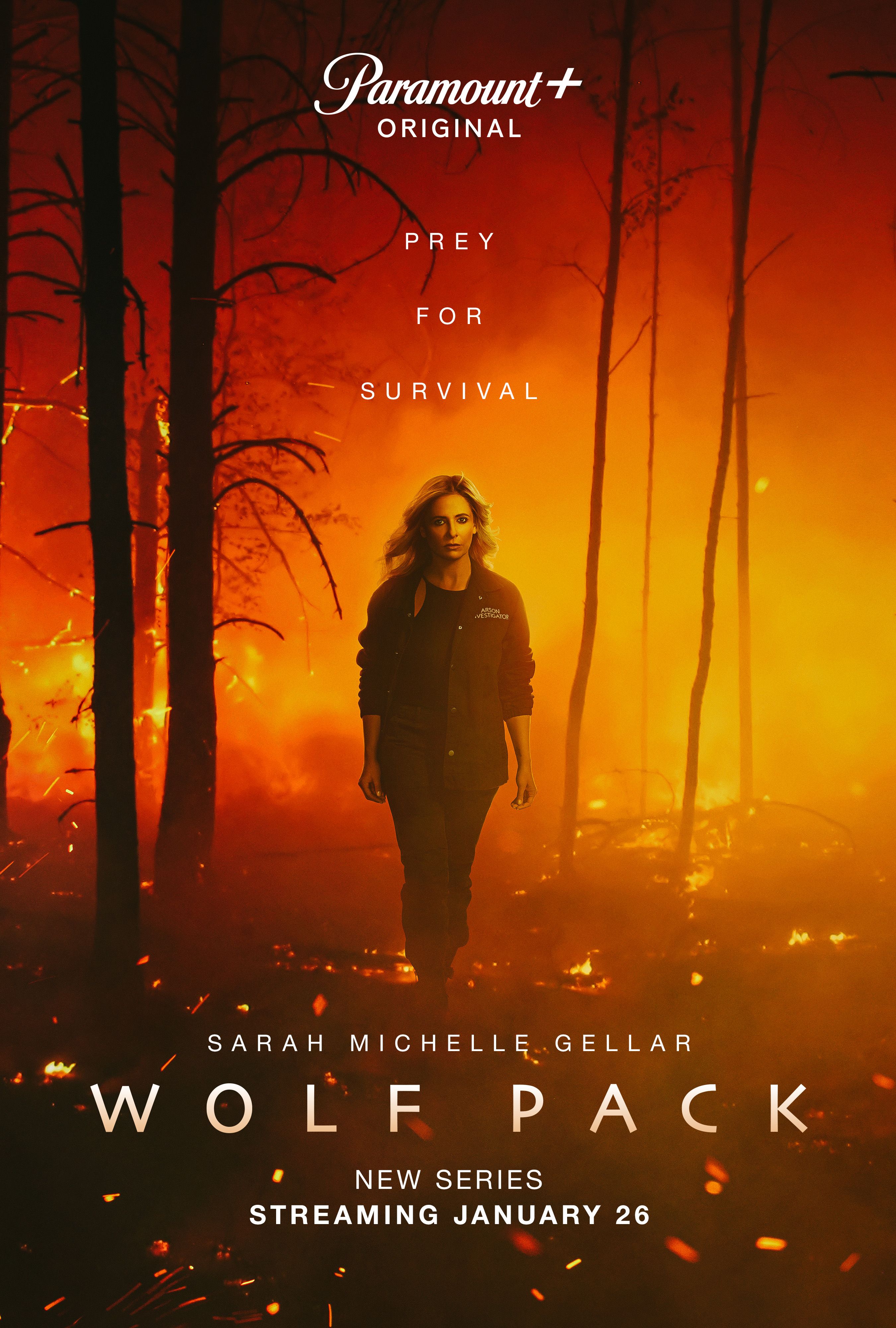 wolf pack poster