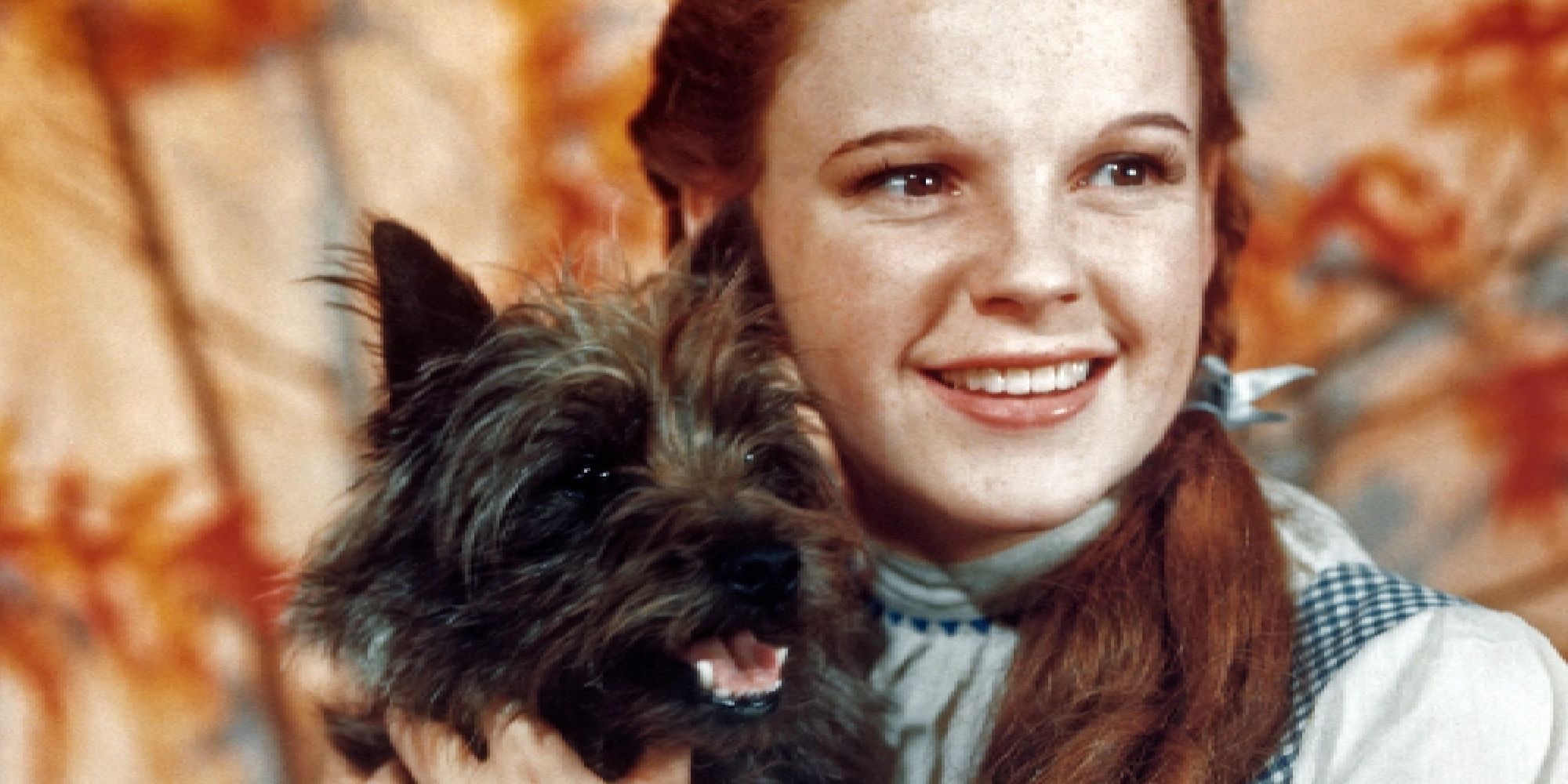 Judy Garland holding Toto in The Wizard of Oz