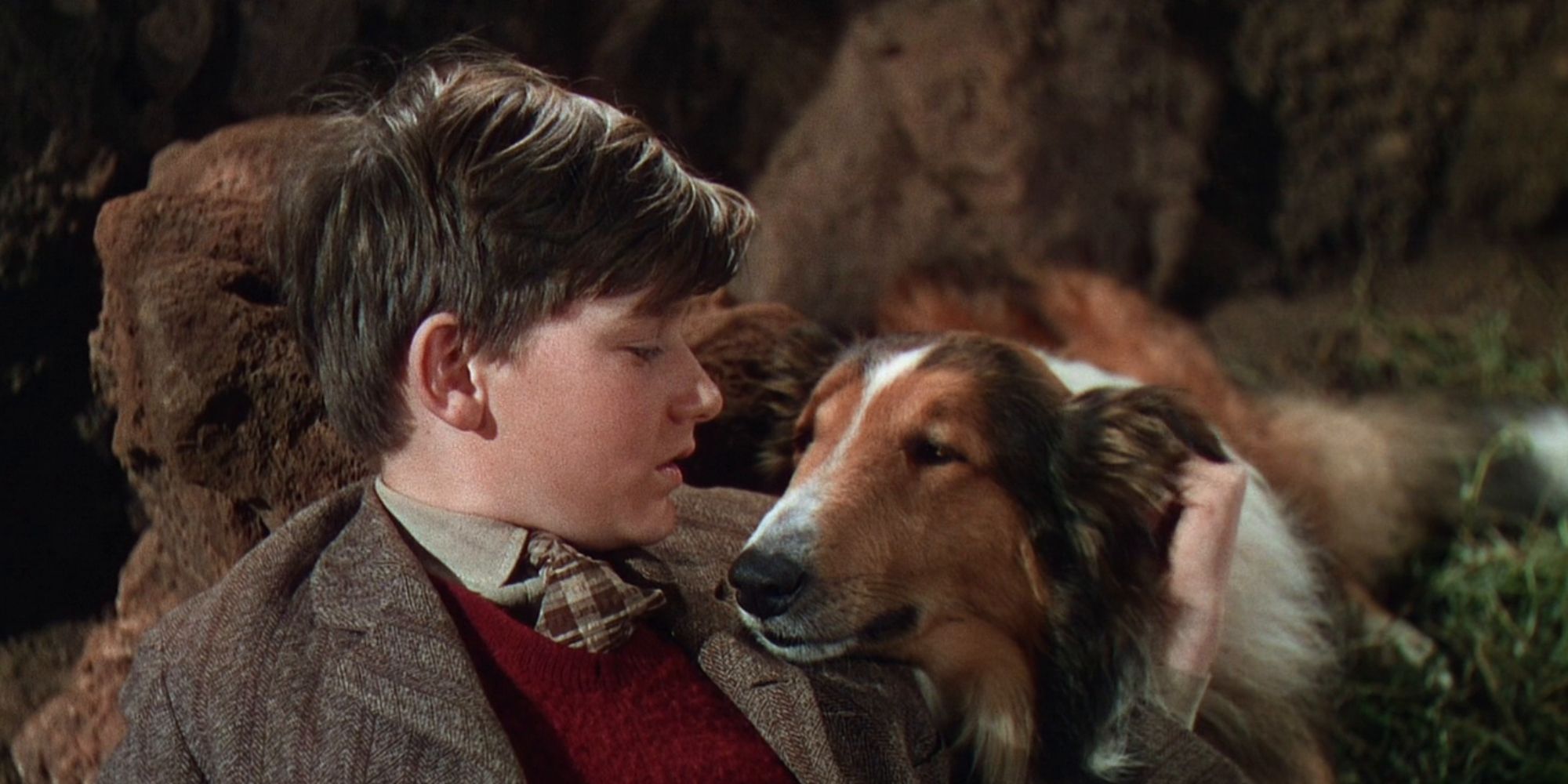 Roddy McDowall with dog Lassie in Lassie Come Home