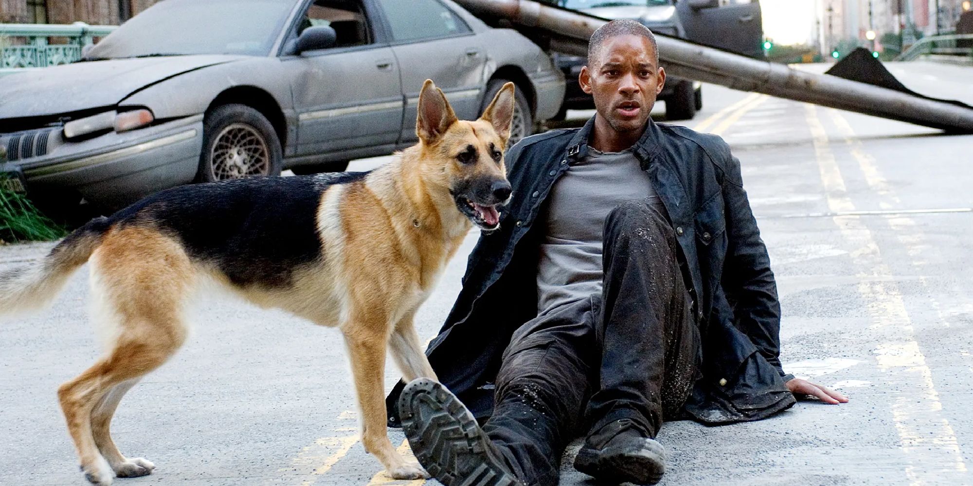 Will Smith and Sam the Dog in I Am Legend