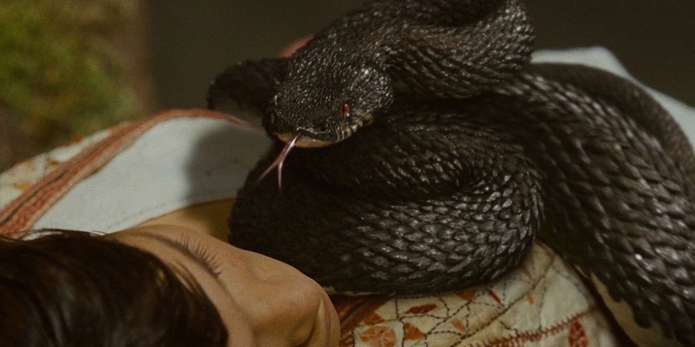 Scene with a viper on the body