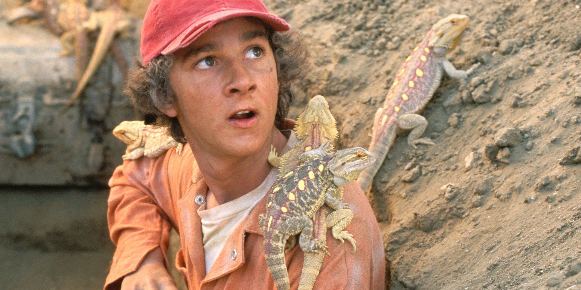 Boy covered in lizards
