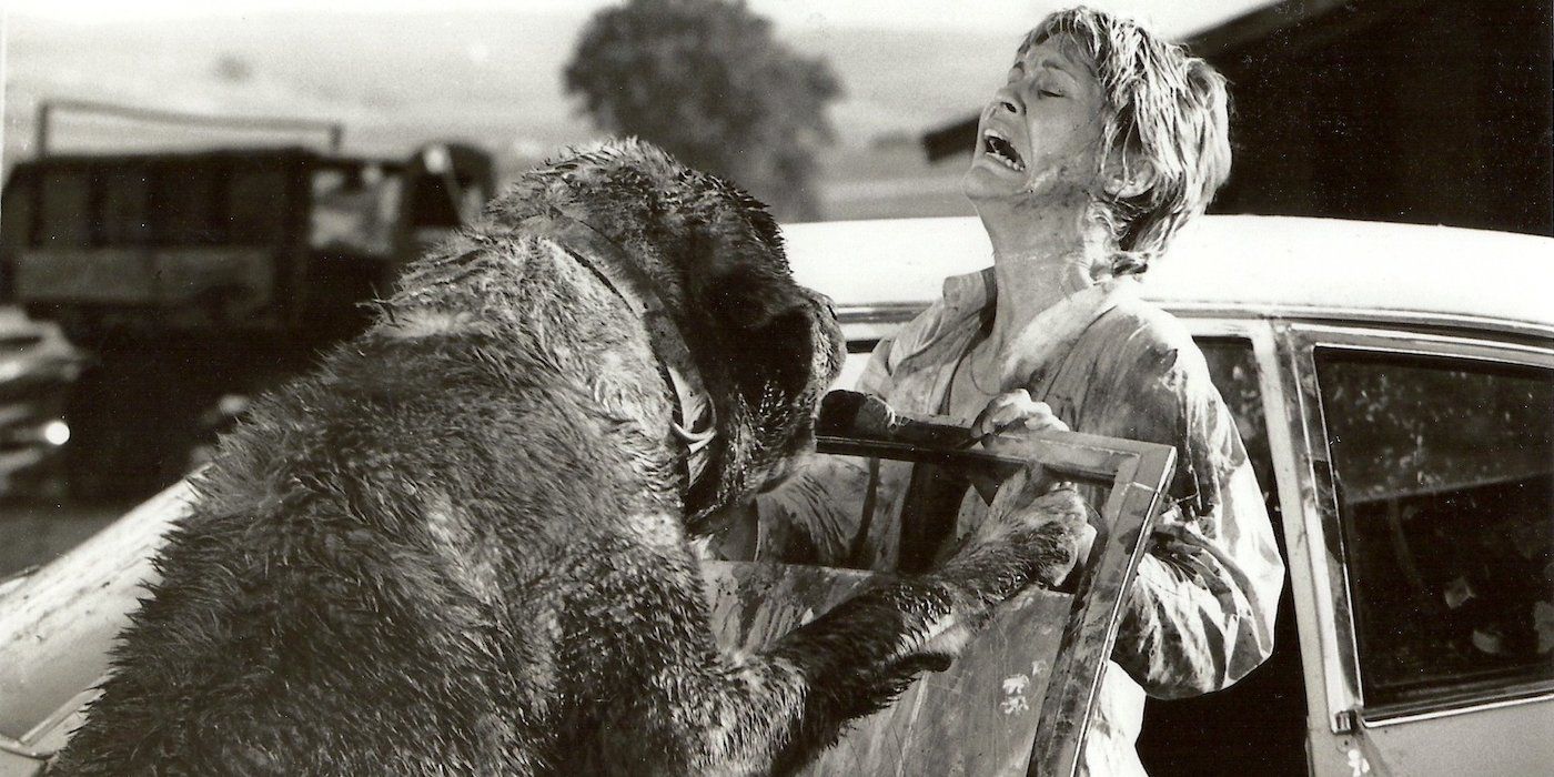 Dee Wallace in Cujo
