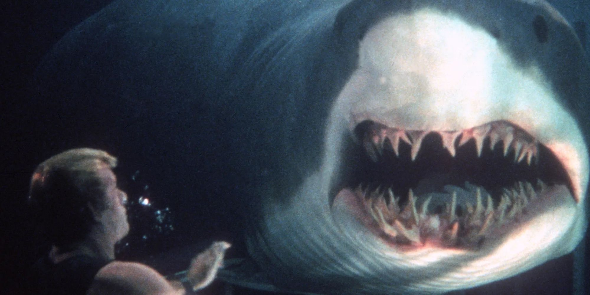 Man face to face with a shark