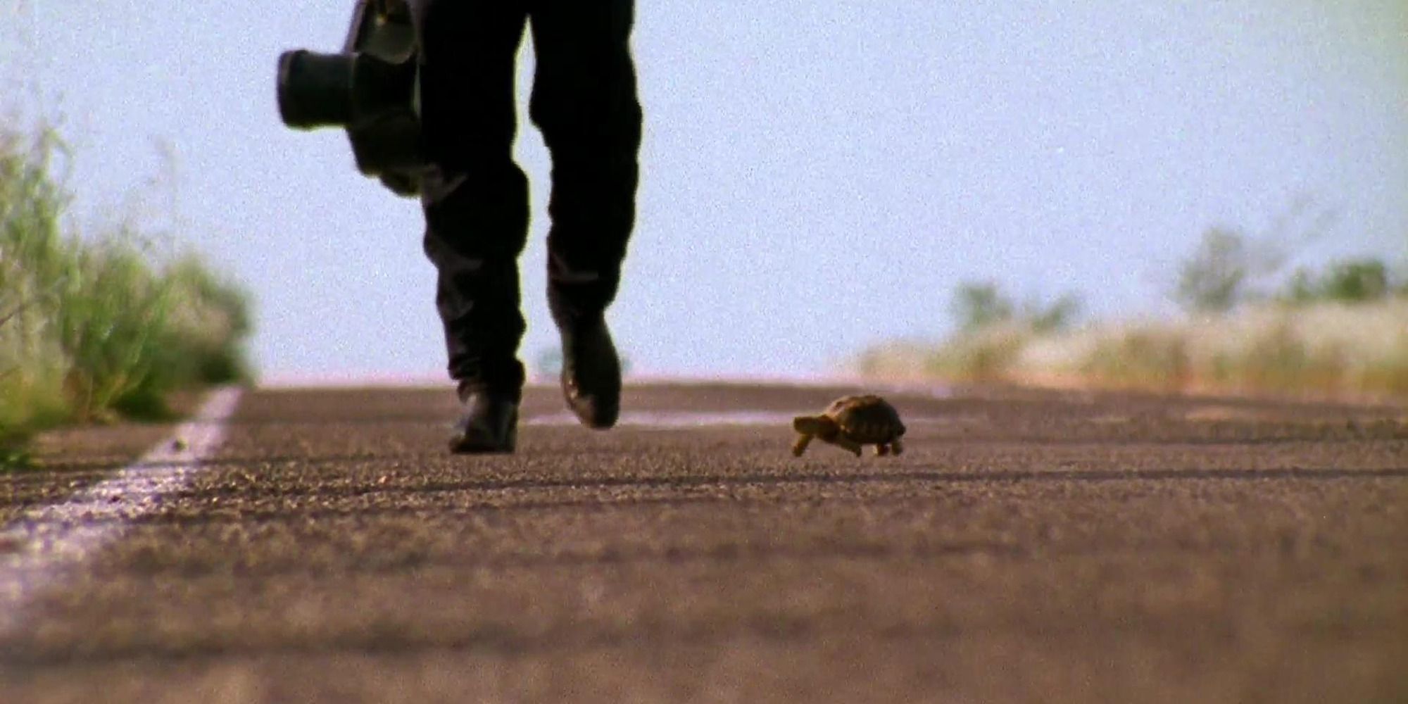 the legs of El Mariachi walking down the highway with a turtle next to him