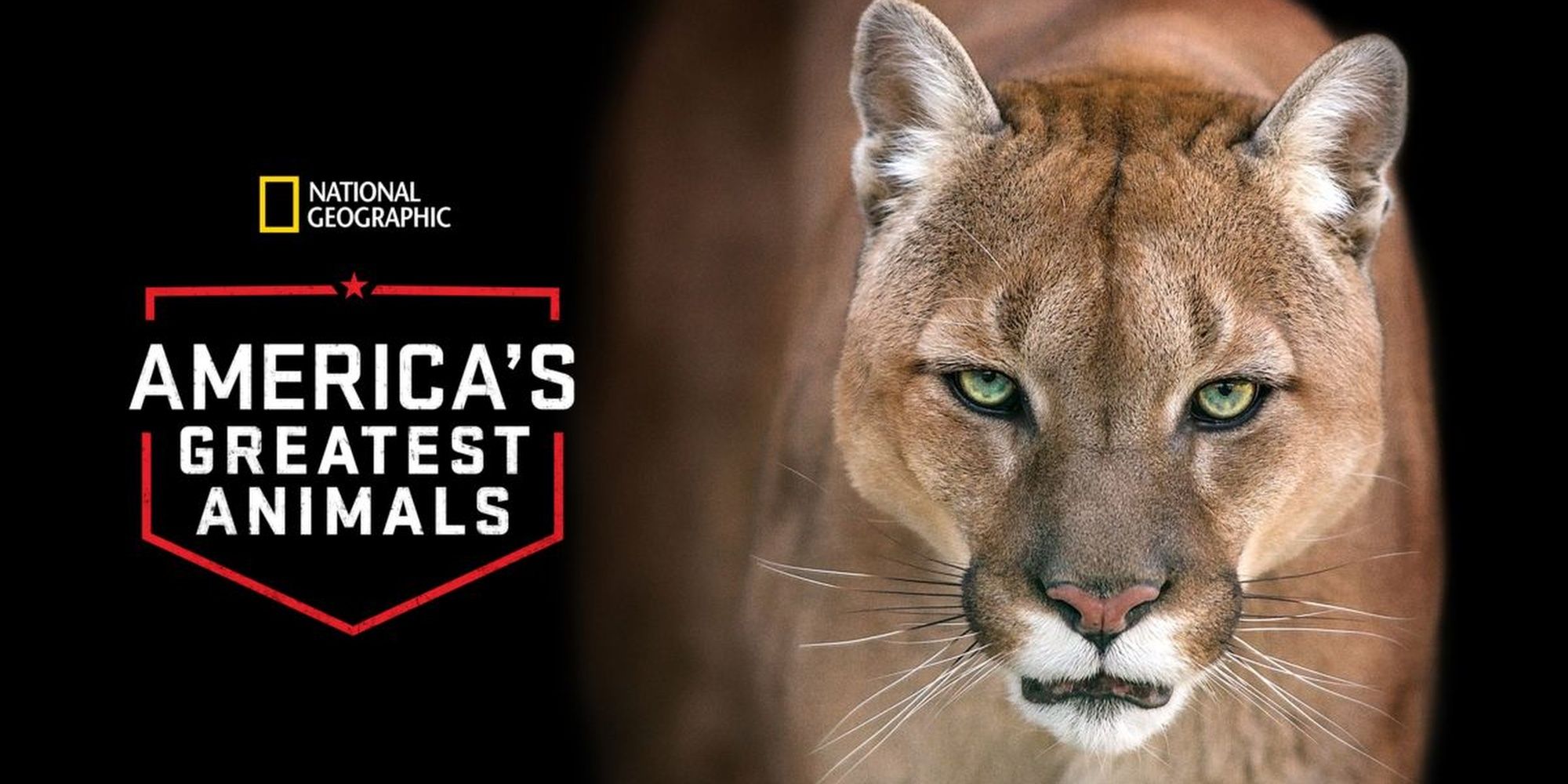 America's Greatest Animals nat geo