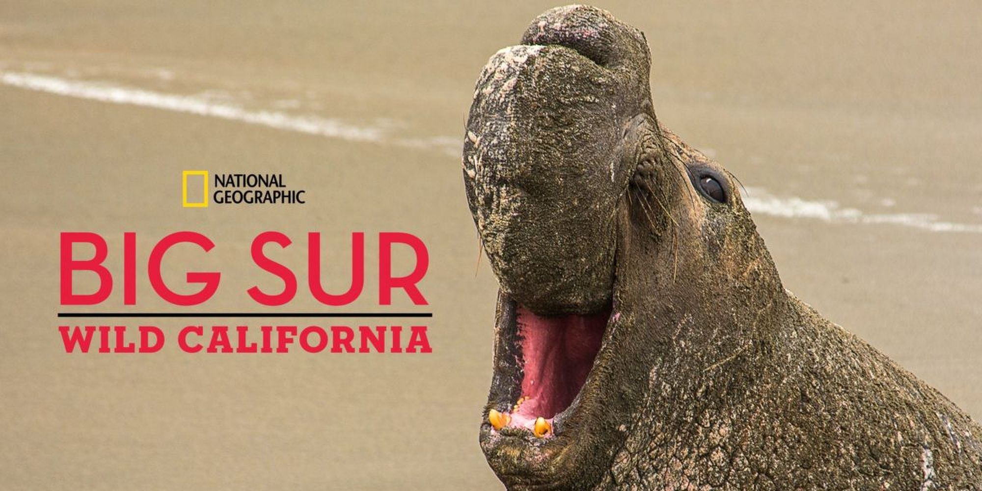 Big Sur nat geo