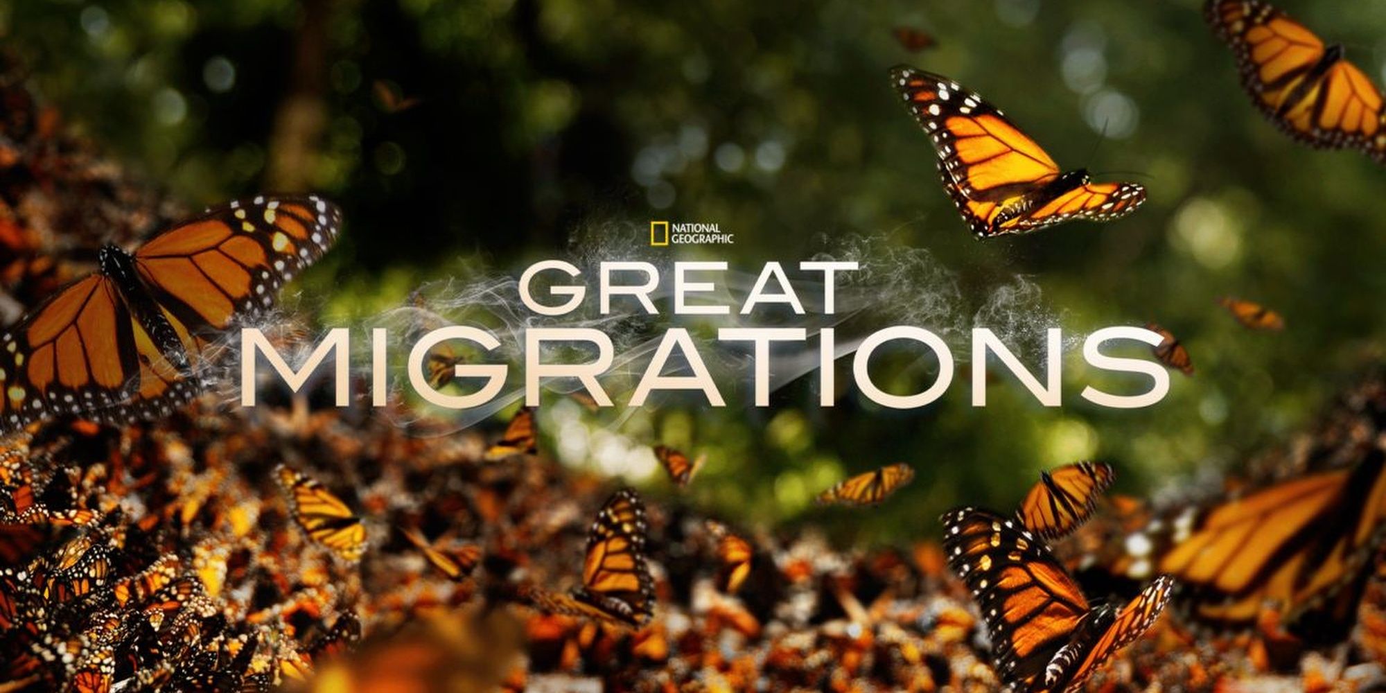Great nat geo migrations