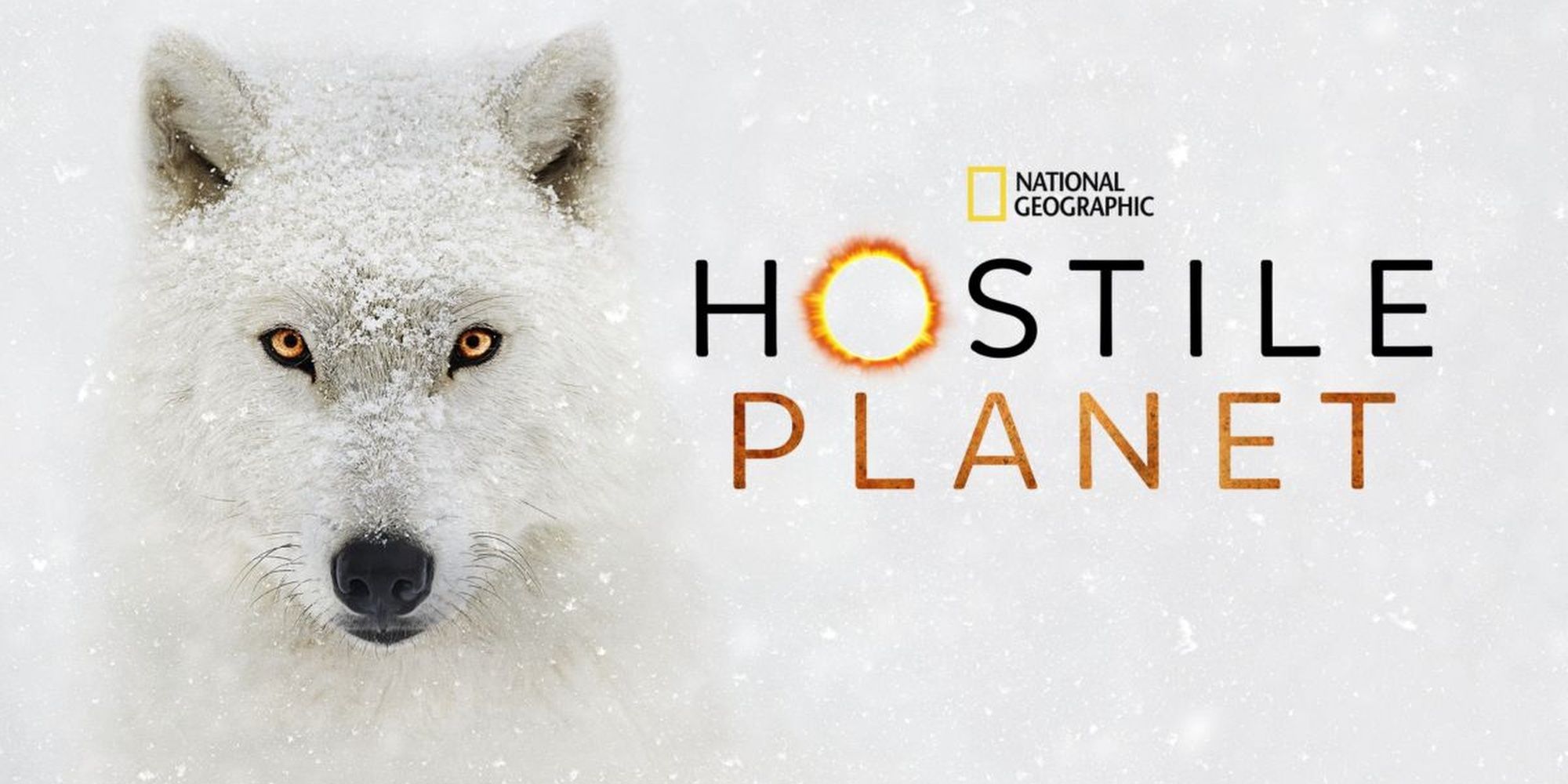 Hostile planet nat geo wolf
