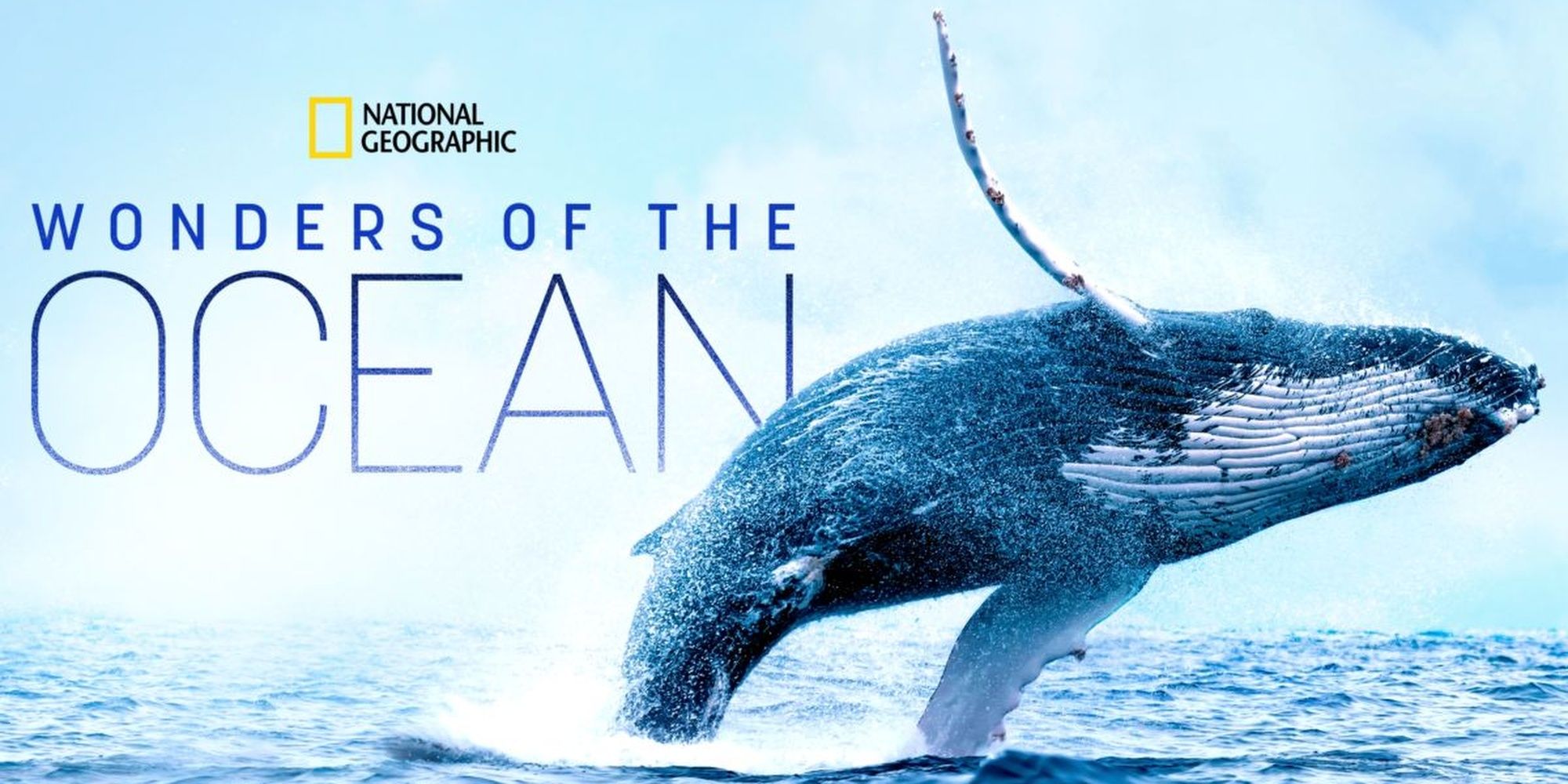 Wonders of the ocean nat geo