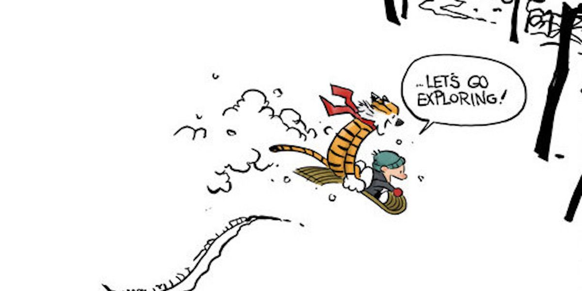 Calvin and Hobbes explore