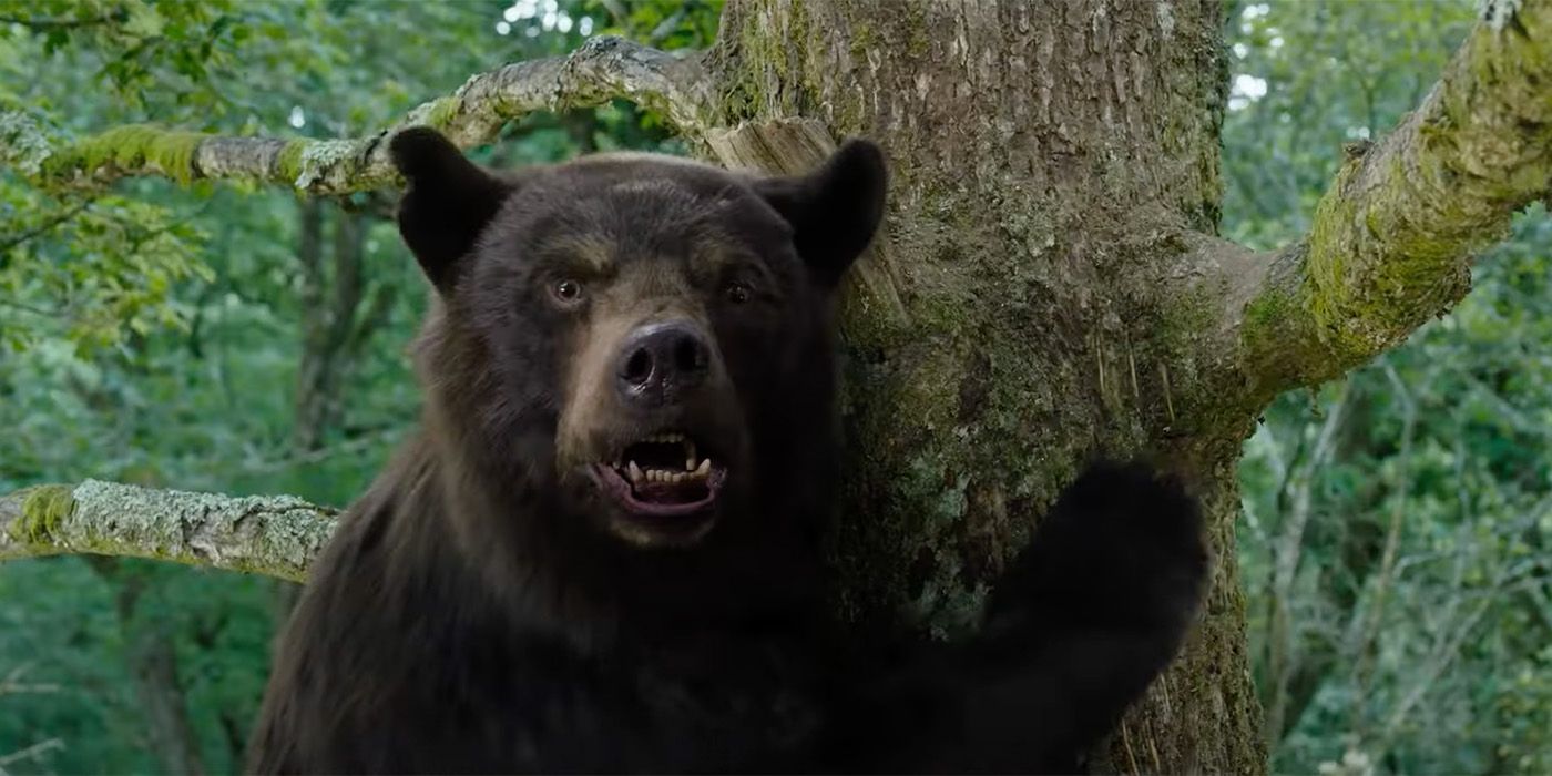 bear on tree in cocaine bear movie
