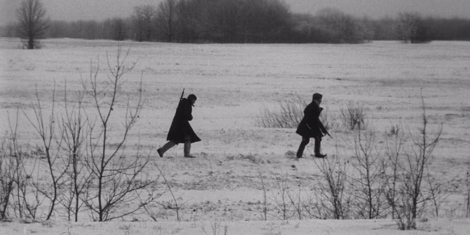 Rise - 1977