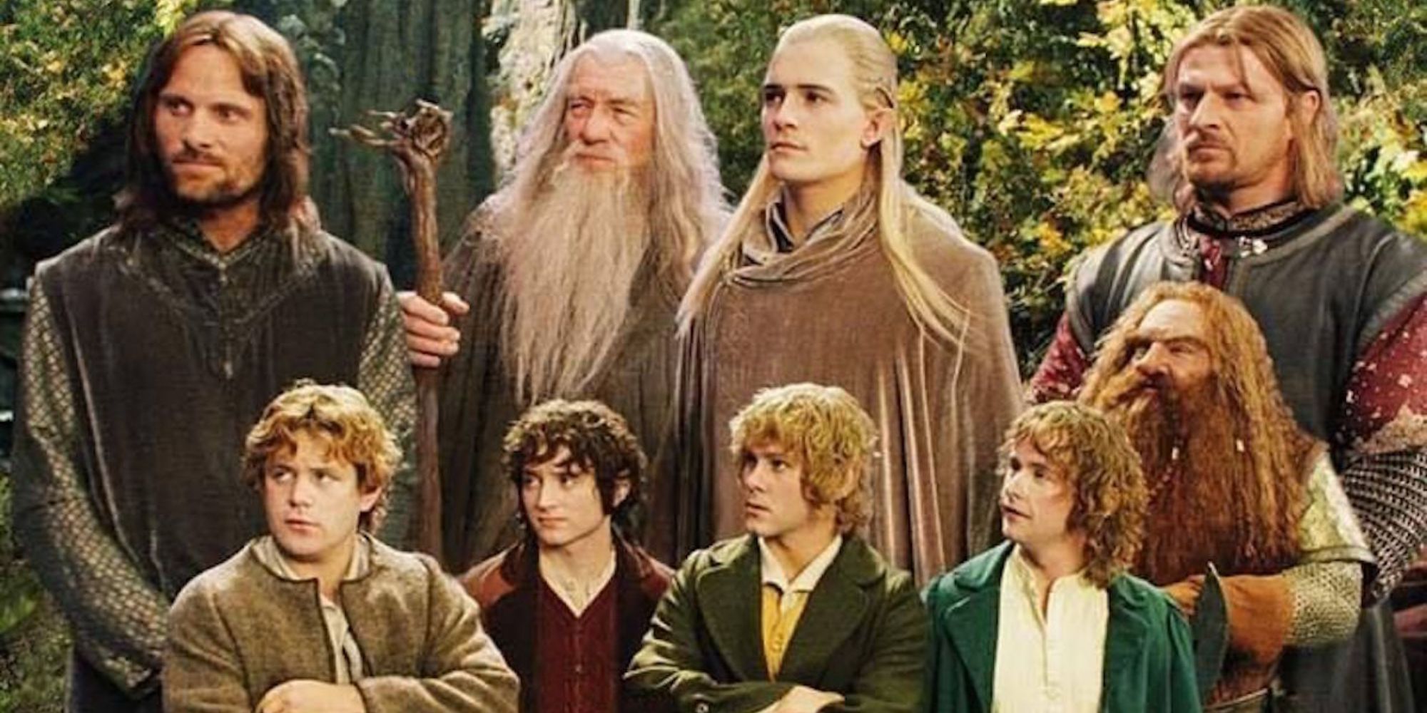 The Lord of the Rings The Fellowship of the Ring (2001) (1)