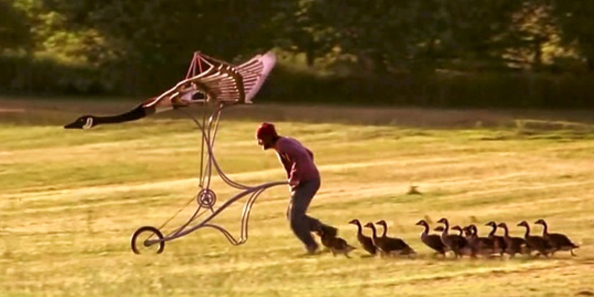 fly home 19960