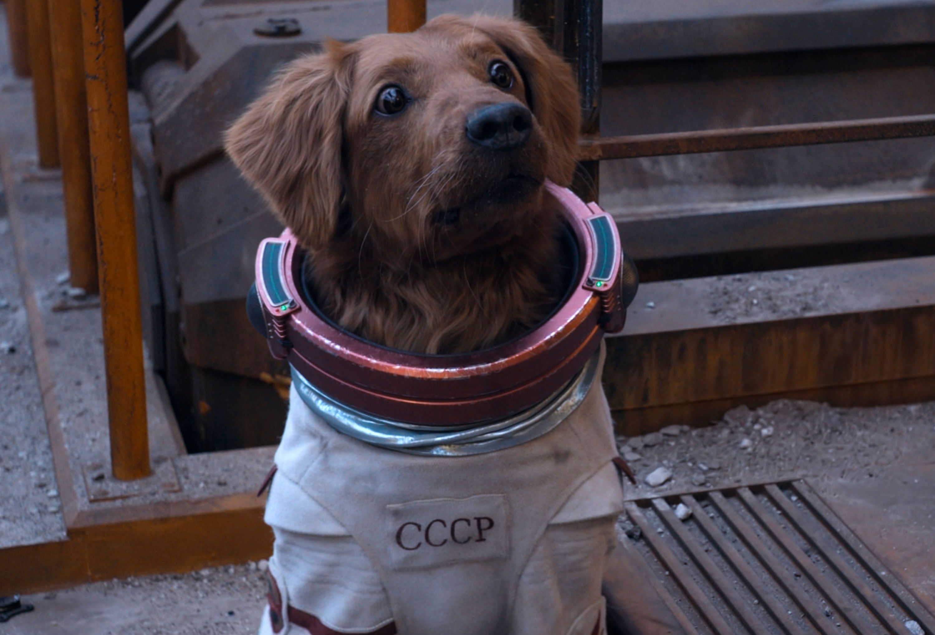 Space dog Cosmo from Guardians of the Galaxy Vol.  3