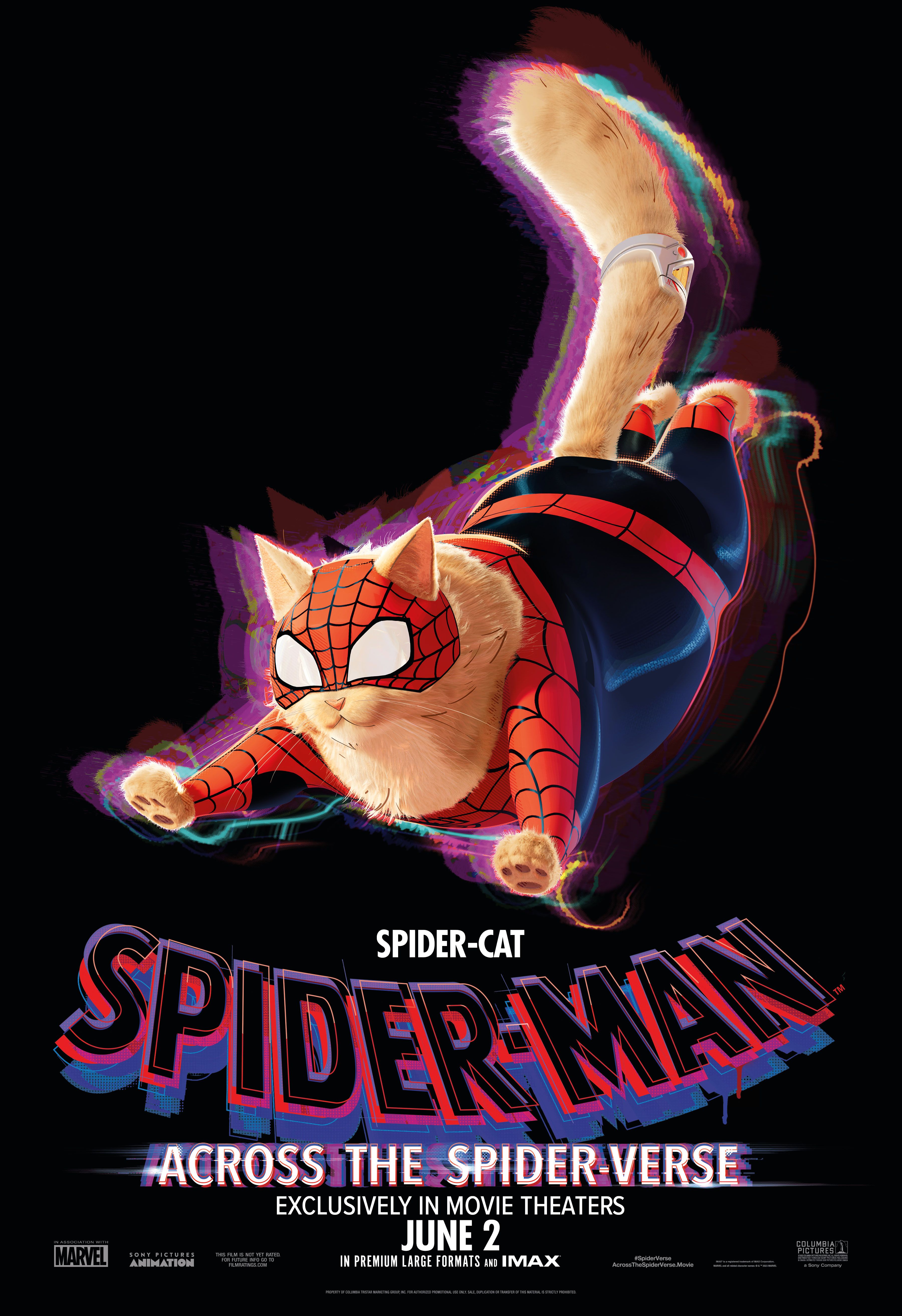 spider-man-through-spider-universes-character-posters-8