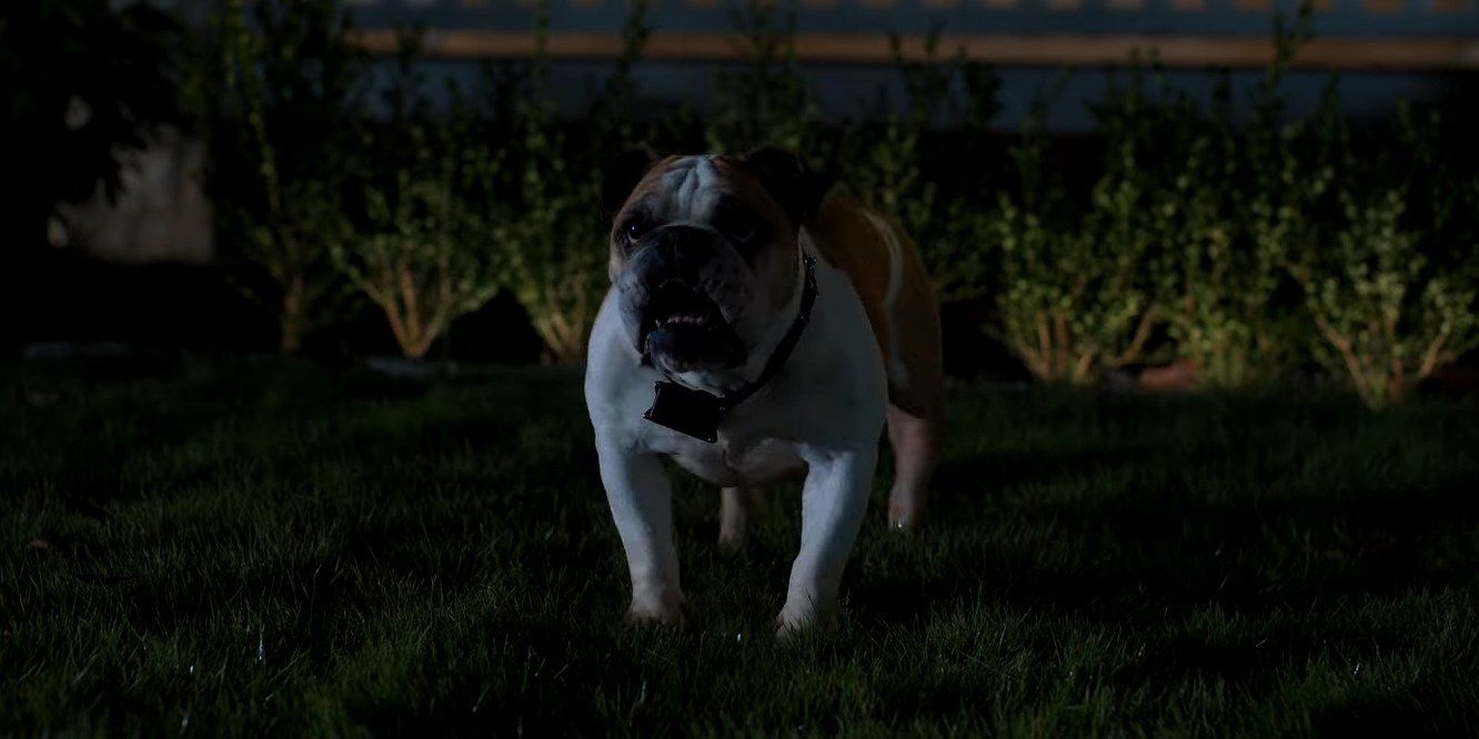A still from The Tramps featuring Chester, a British bulldog voiced by Jamie Demetriou.