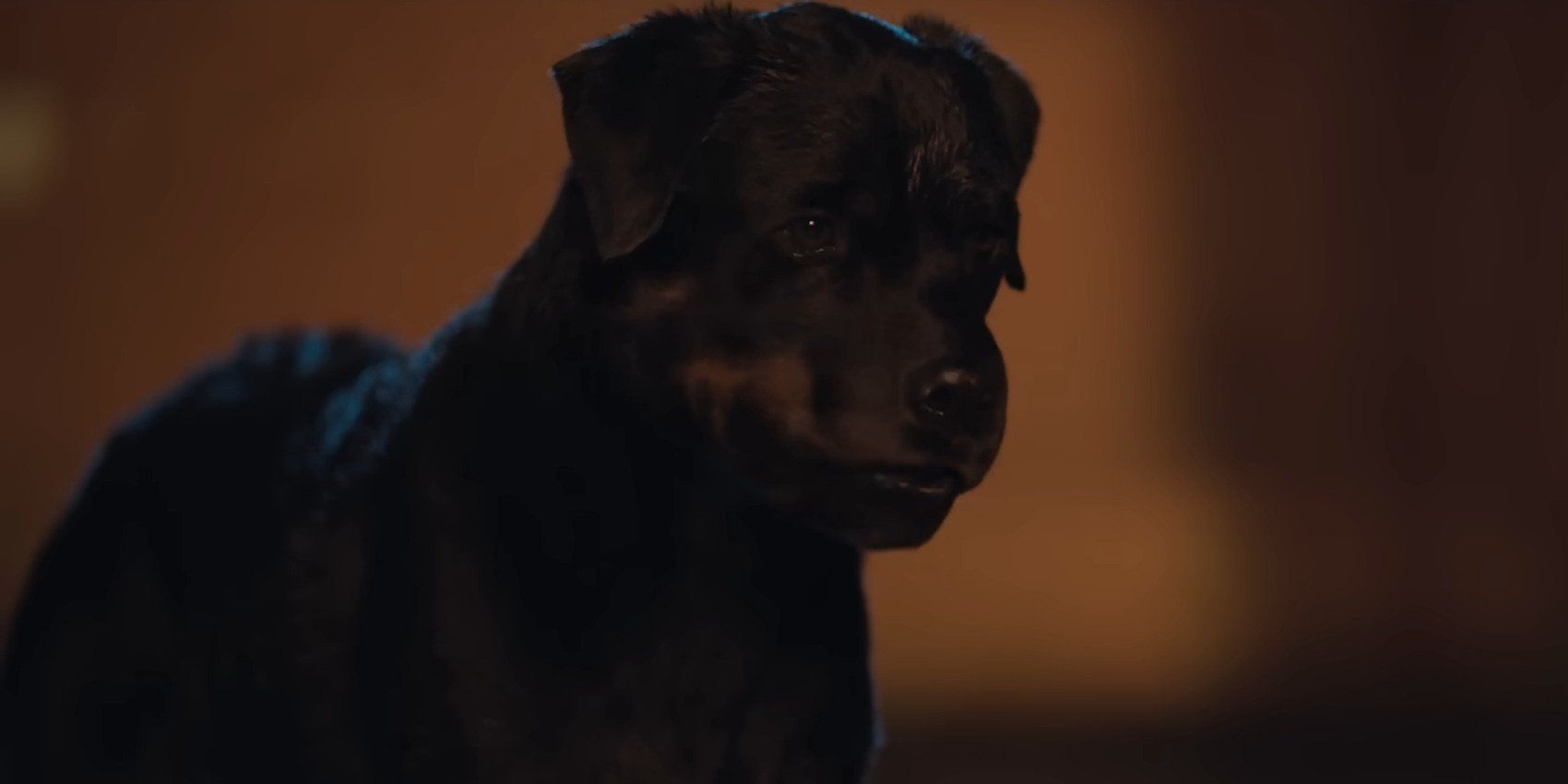 A still from the movie The Tramps featuring Finn the Rottweiler, voiced by Jimmy Tatro.
